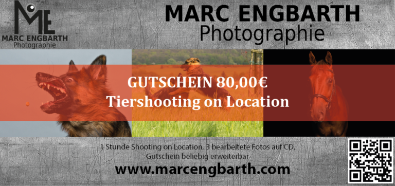 Gutschein Tiershooting on Location
