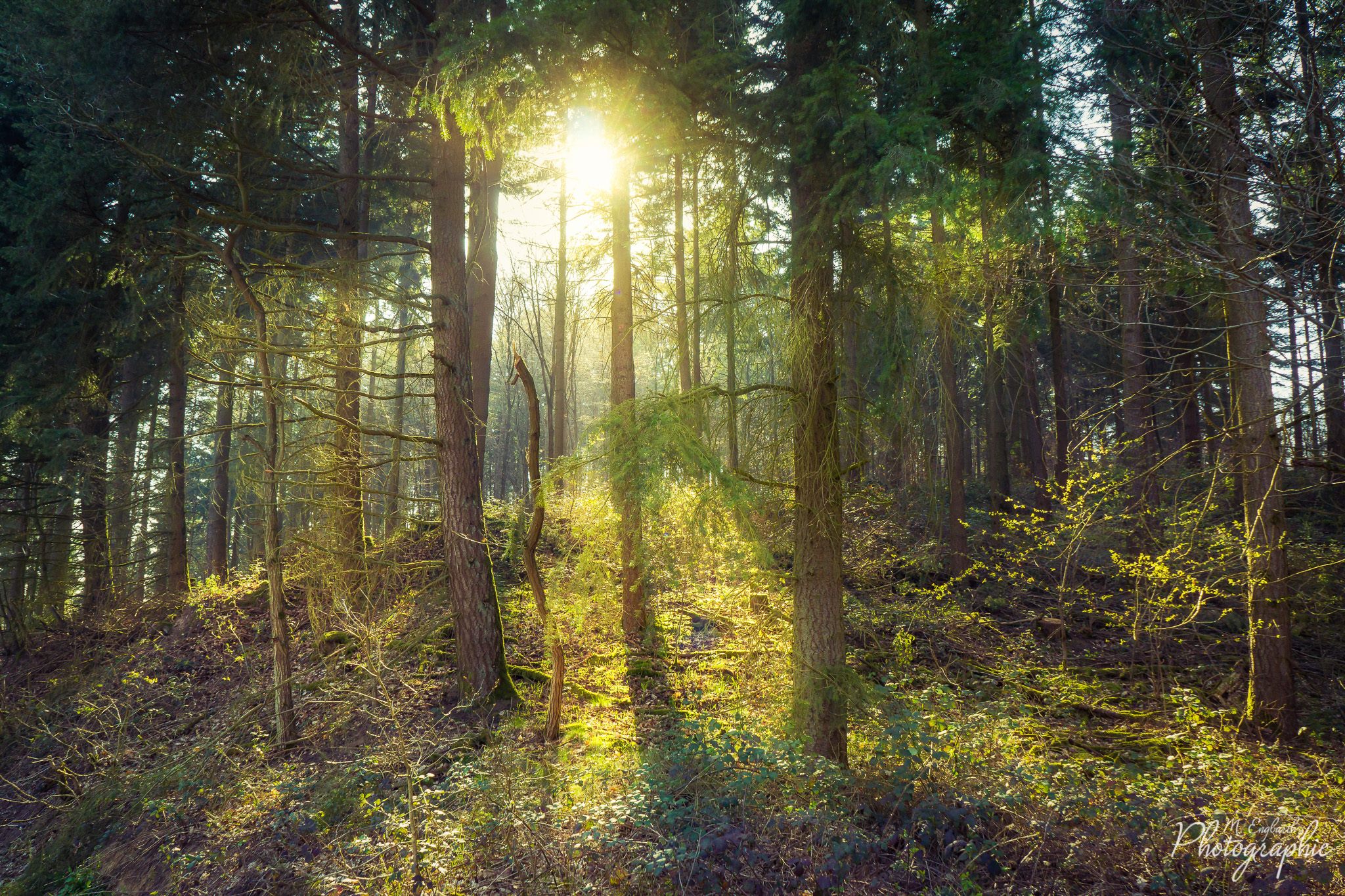 Sonnenlicht Sony NEX-7; 18mm; 1/100s; f8.0; ISO400