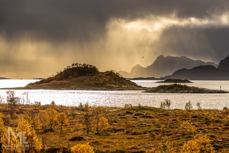 Es wird langsam Herbst und da passt ein Foto aus meinem …