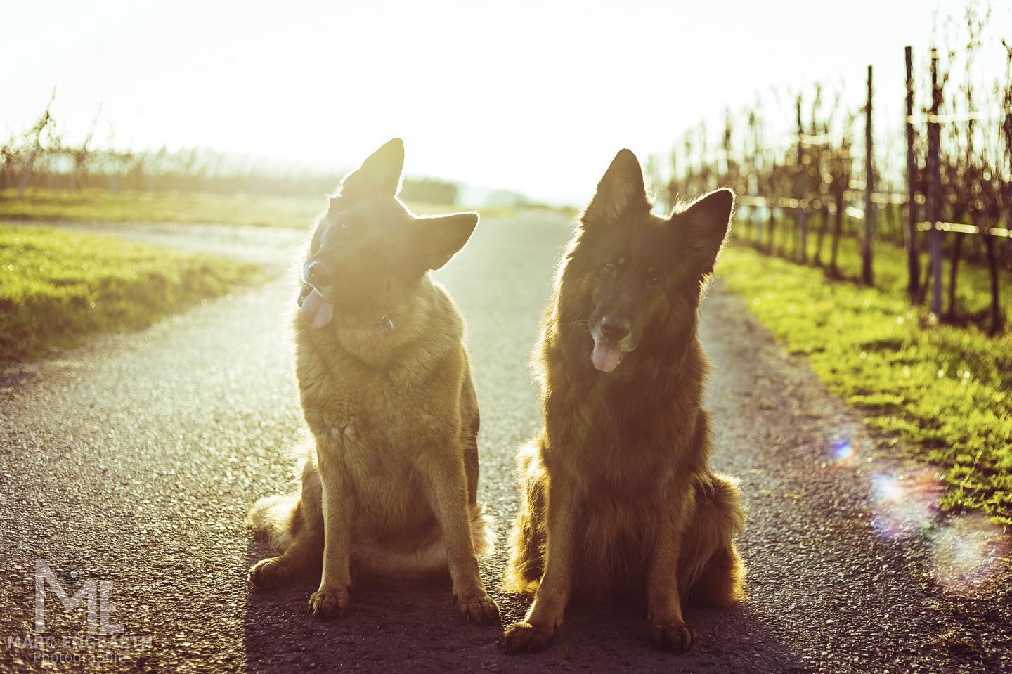 Heute stand ein kleiner Neujahrsspaziergang auf dem …