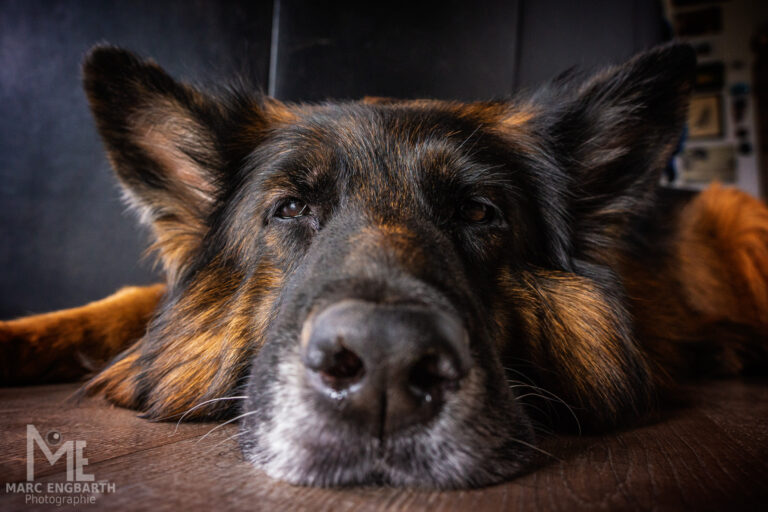 Es ist Montag… Equipment: Sony NEX-7 Sony 3.5-5.6/18-55mm …