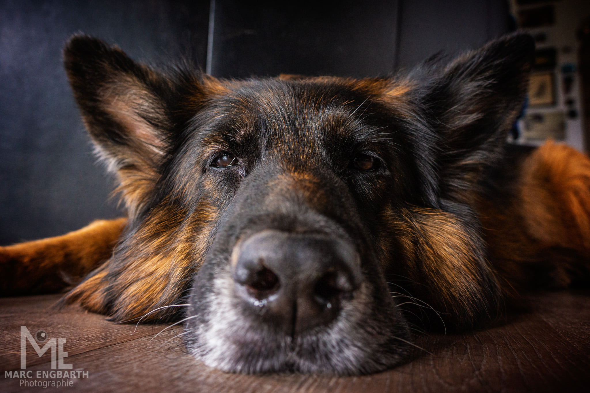 Es ist Montag… Equipment: Sony NEX-7 Sony 3.5-5.6/18-55mm …
