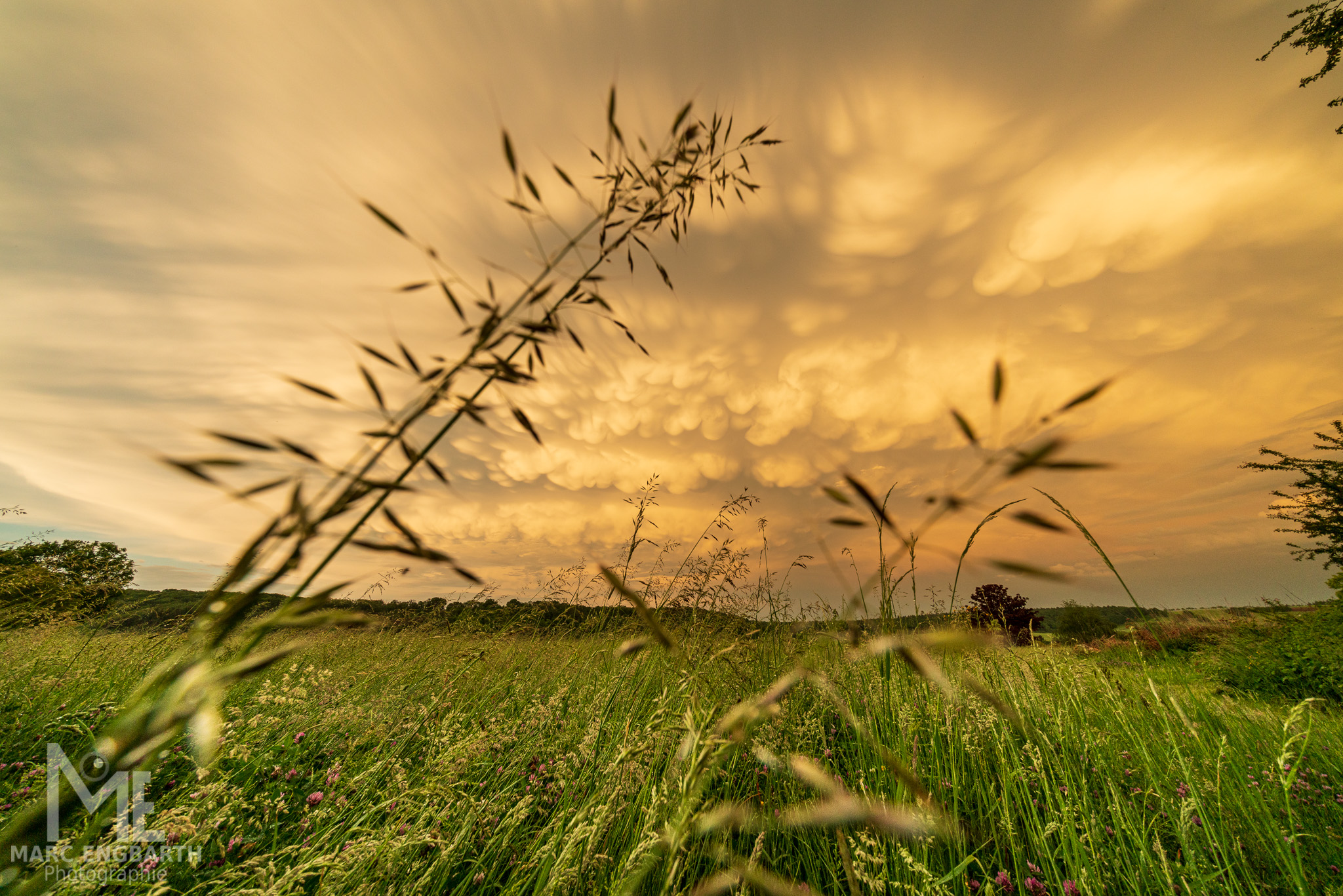 Nach dem Gewitter gab es Mammatuswolken (Mammaten) im …