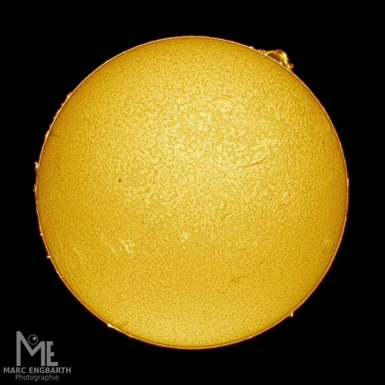 Die Sonne vom 28.04.2025 mit schönen Protuberanzen