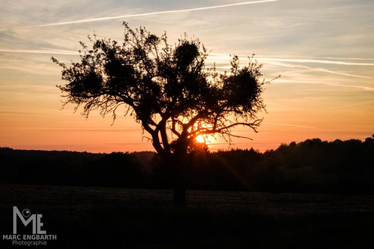 Einfach mal einen Sonnenaufgang